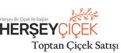 Toptan Çiçek Satışı, Herşey Çiçek Toptan