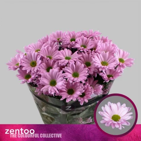PEMBE BİÇME İTHAL DEMET